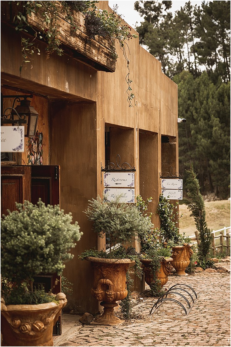 wedding at langkloof roses