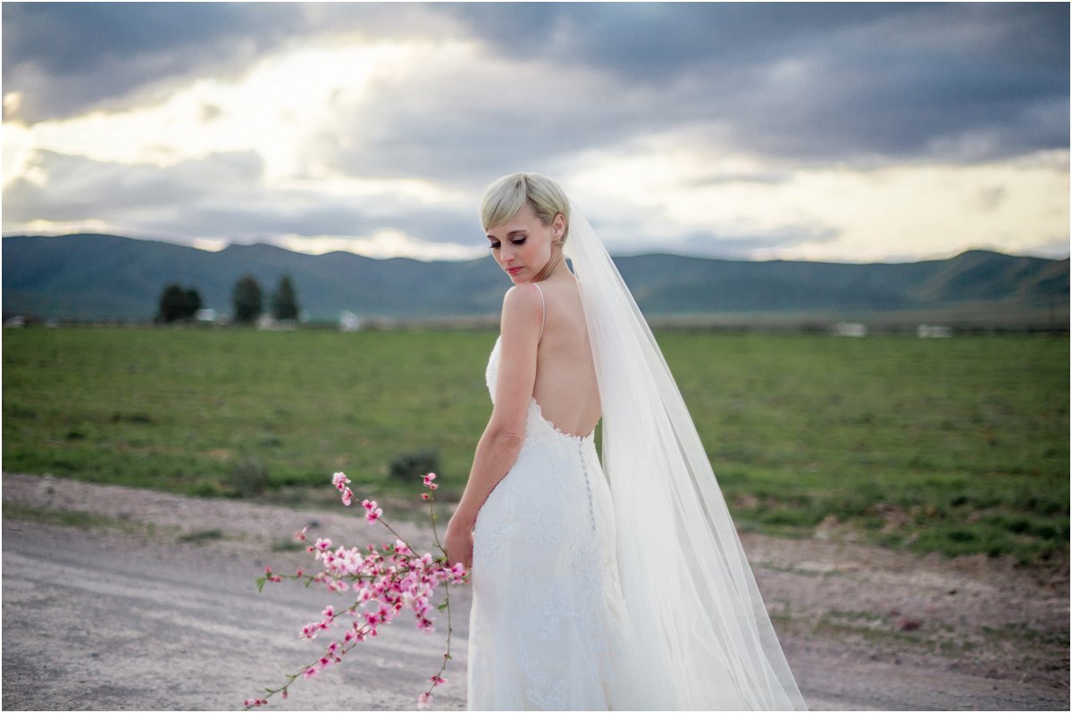 robertson wedding venues