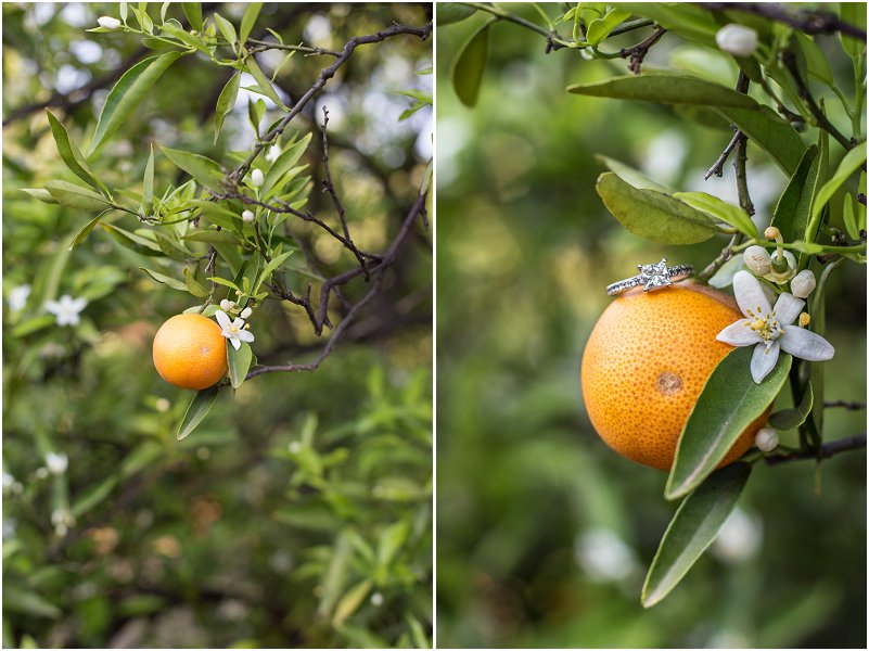 Matt & Melissa-Mooi troues_0012