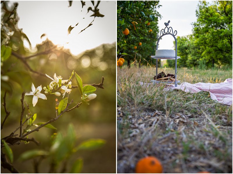 Matt & Melissa-Mooi troues_0059