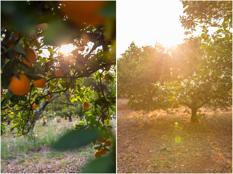 Matt & Melissa-Mooi troues_0060