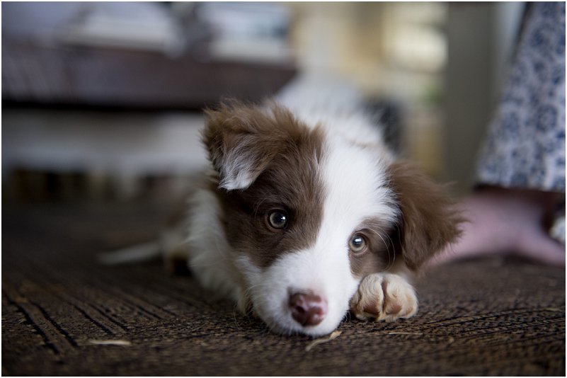 Roche en Arthur_0005