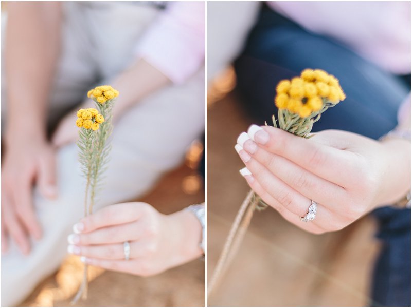 plaas verlowing fotosessie