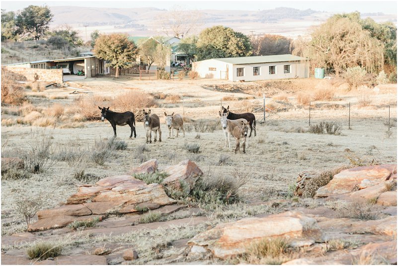 plaas verlowing fotosessie
