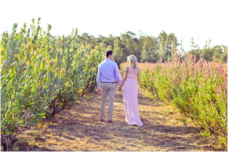 Lente tussen die Proteas_0027