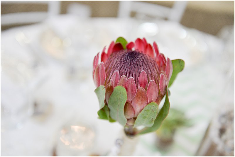 Tamlynn en Shannon_0048