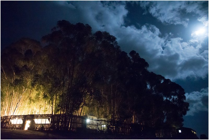 Richard and Samantha_0072