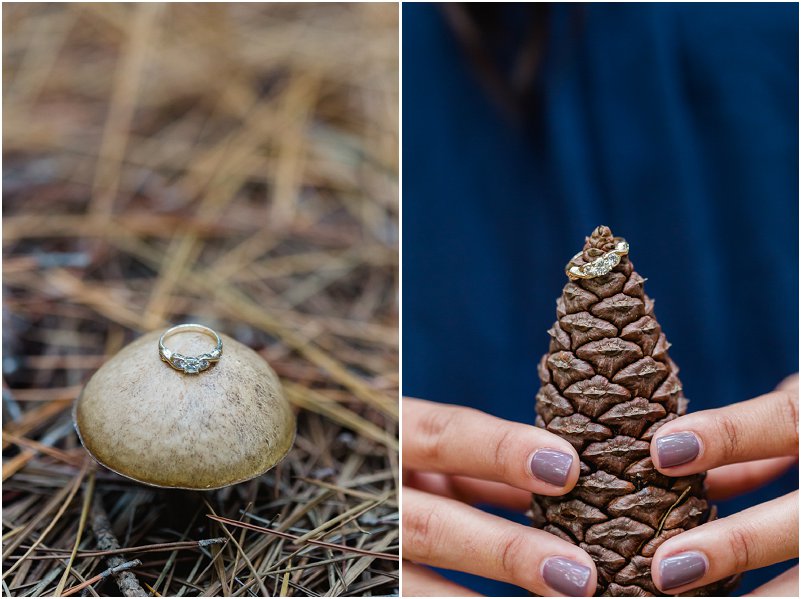 forest engagement photo shoot