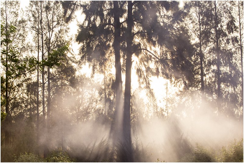 cute engagement photo shoot