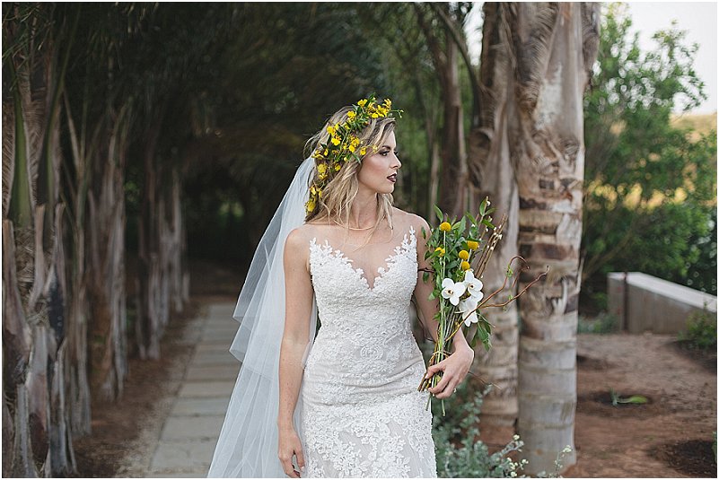 Shaula Greyvenstein Photography