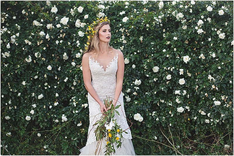 Shaula Greyvenstein Photography