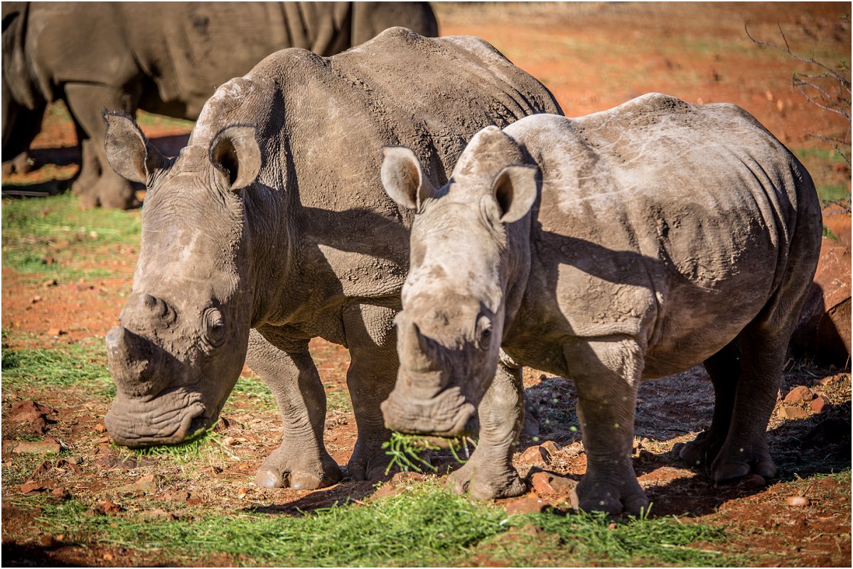 north west wedding venues