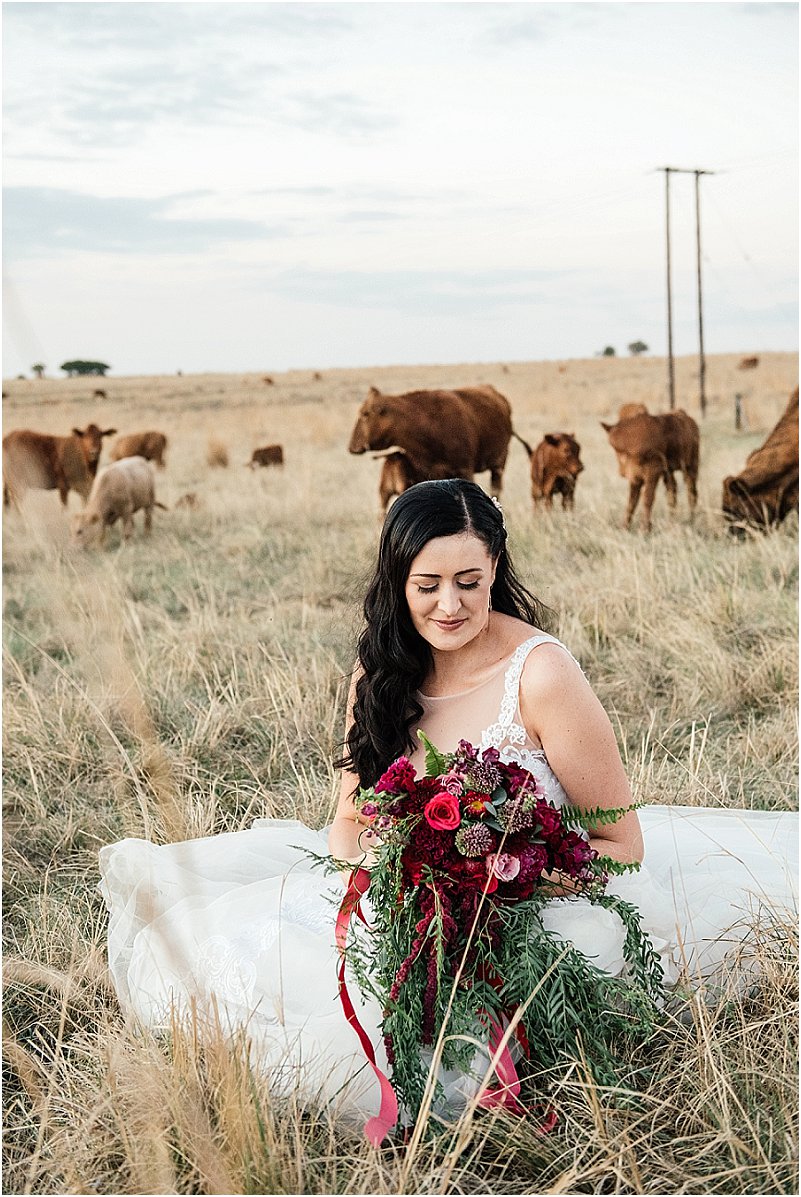 bride with cows in background