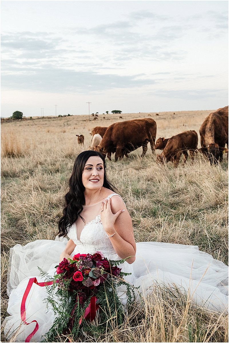 bride with cows in background