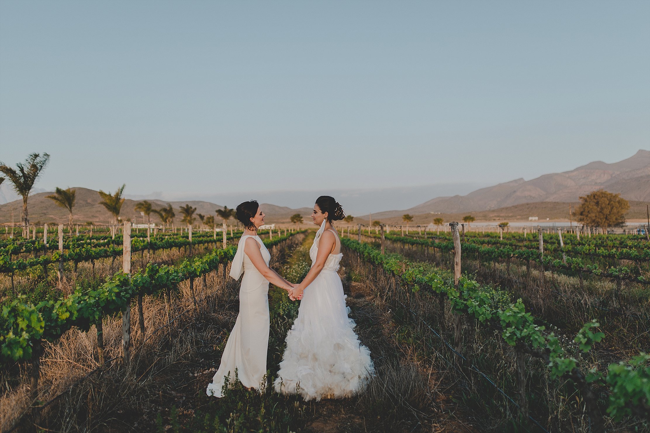 Lesbian Wedding at Bon Cap in Robertson