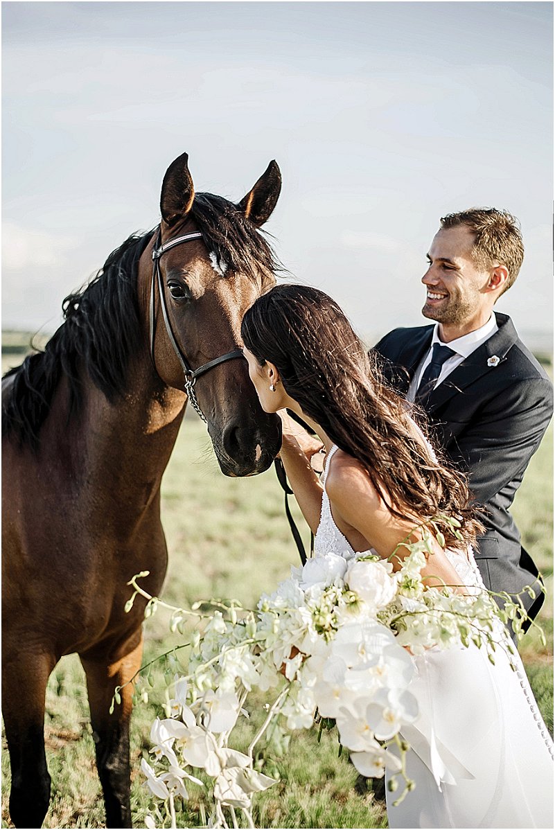 Elegante Vrystaat plaastroue