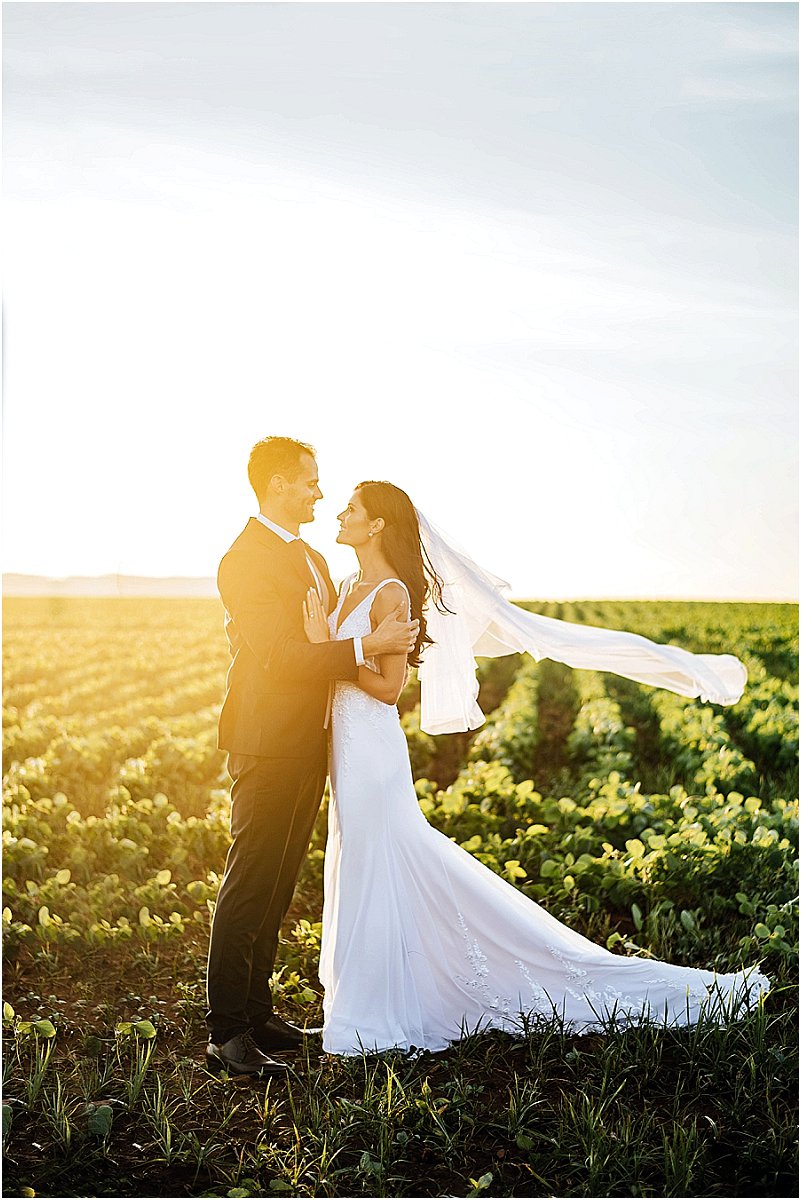 Elegante Vrystaat plaastroue