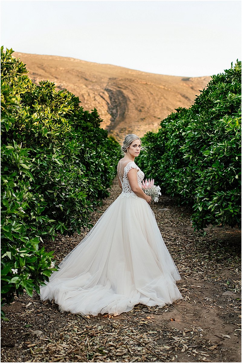 DuVon Wine and Wedding Estate