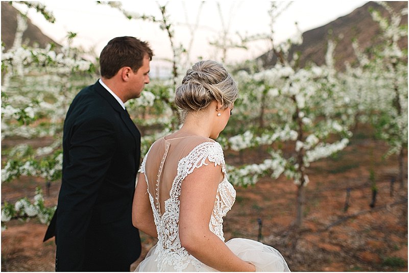 wedding photographers Robertson