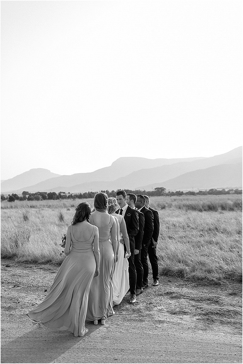 bridal party bridesmaids groomsmen