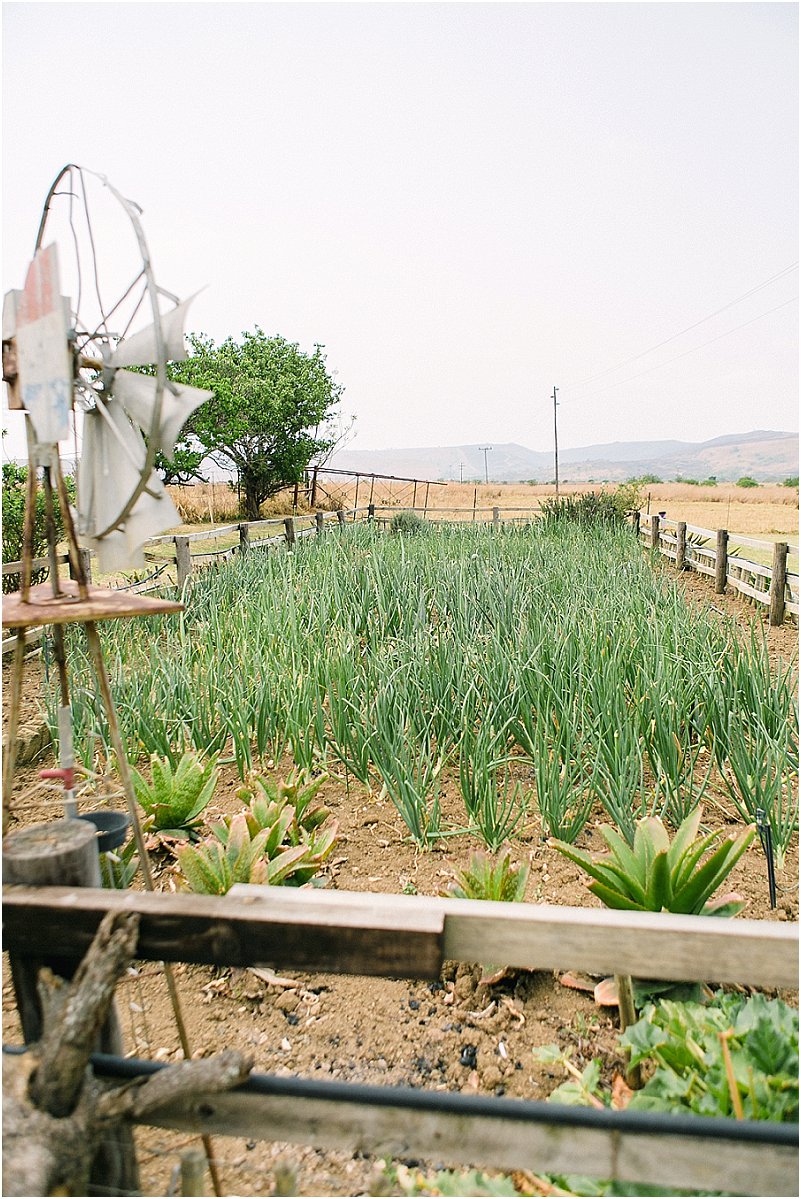 wedding venues mpumalanga