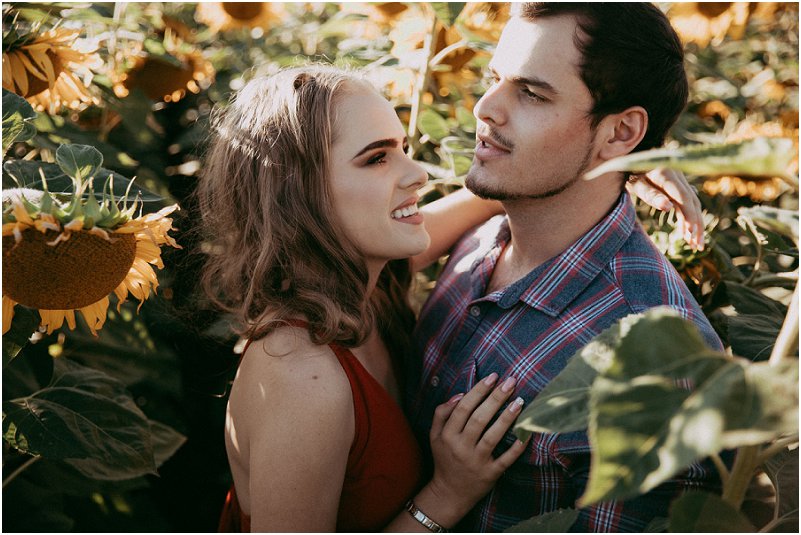 sunflower engagement photos