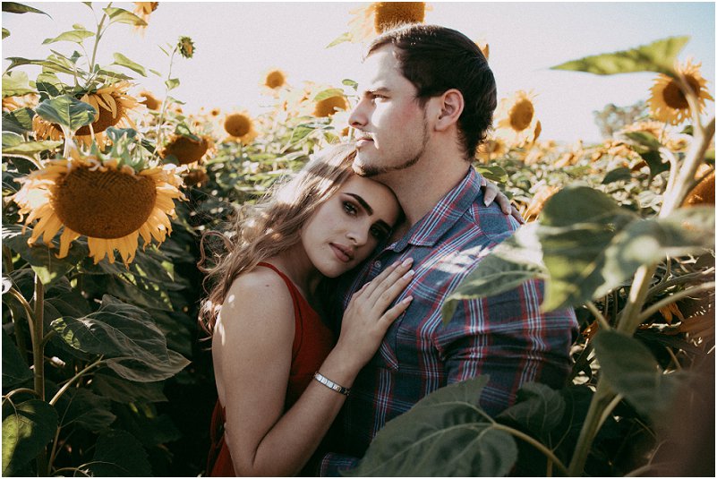 sunflower engagement photos