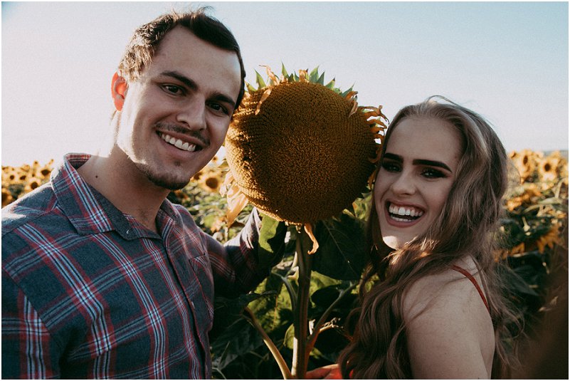 sunflower engagement photos