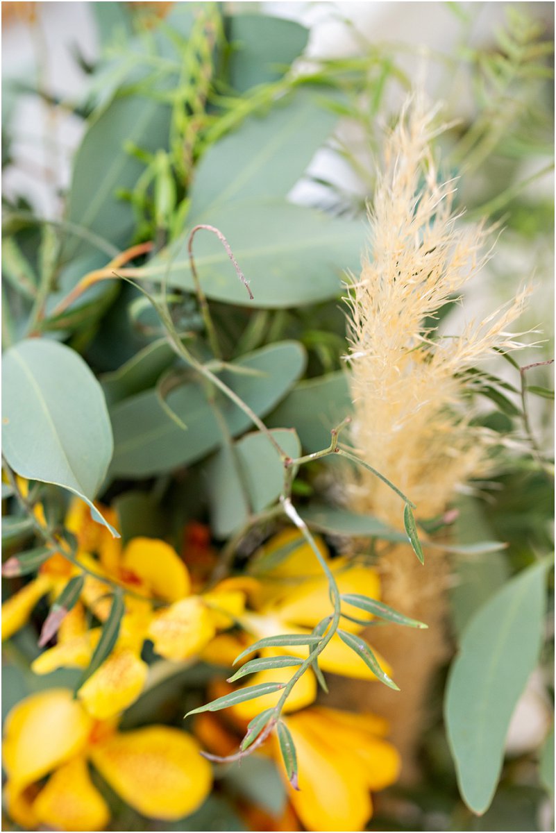 Michelle Kalp Photography