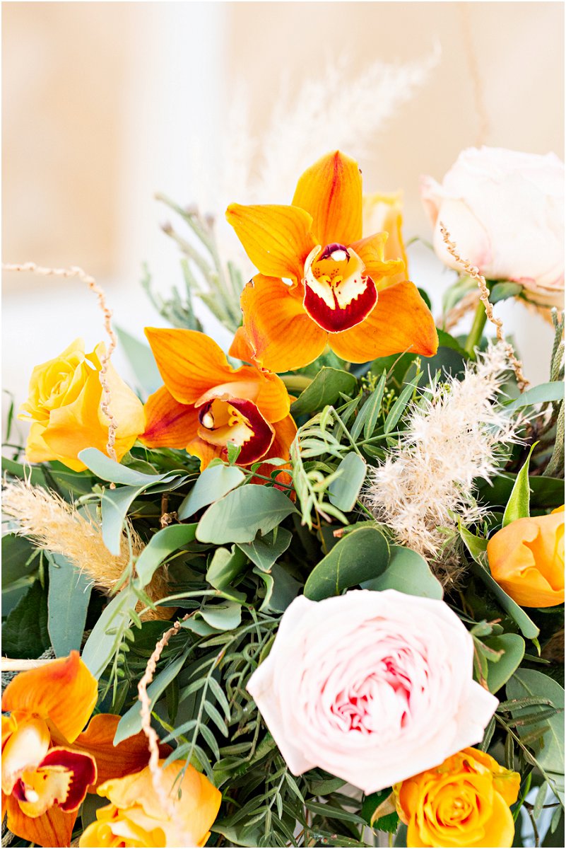 Michelle Kalp Photography