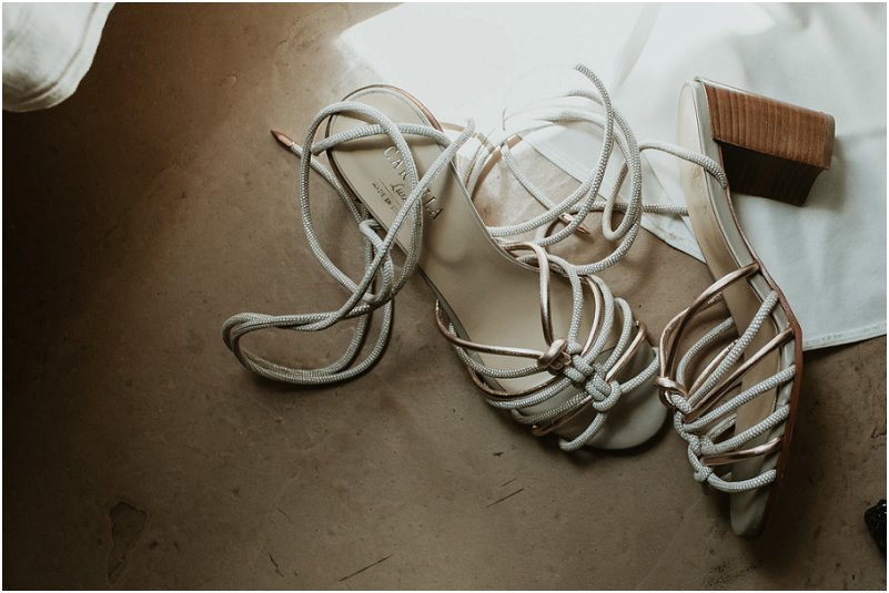 Striped Fox Photography