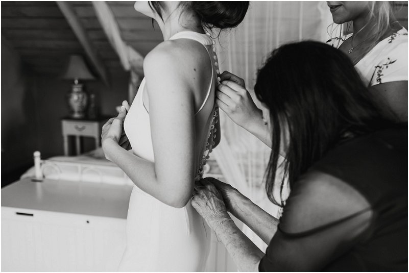 Striped Fox Photography