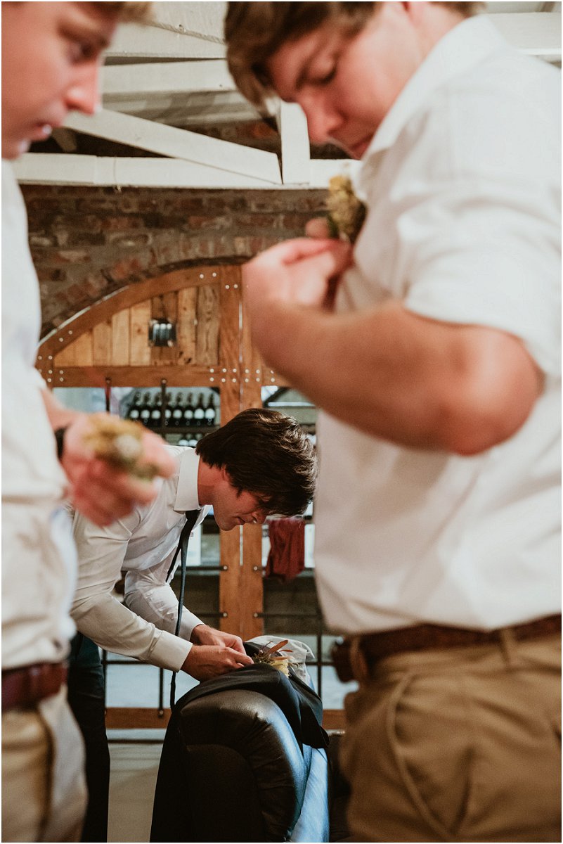 Striped Fox Photography