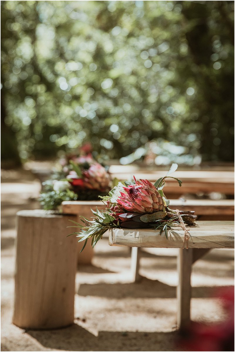 Striped Fox Photography