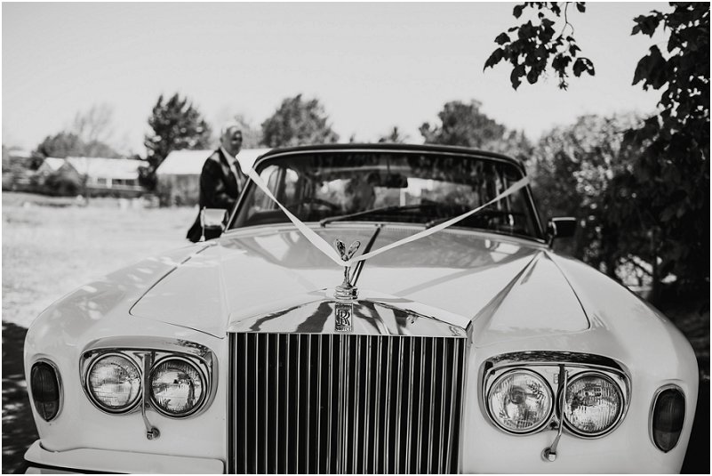 Striped Fox Photography