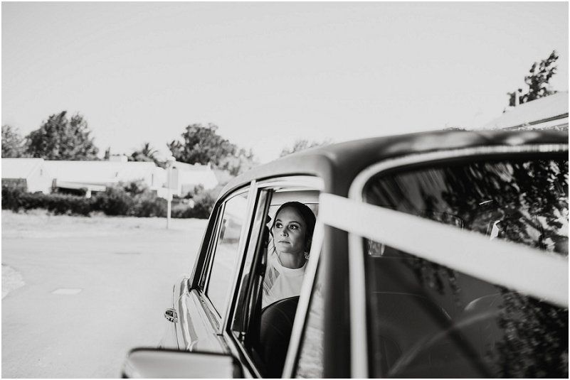 Striped Fox Photography