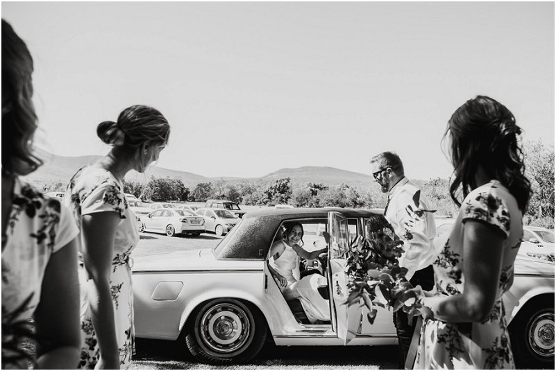 Striped Fox Photography