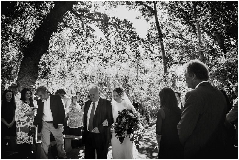 Striped Fox Photography