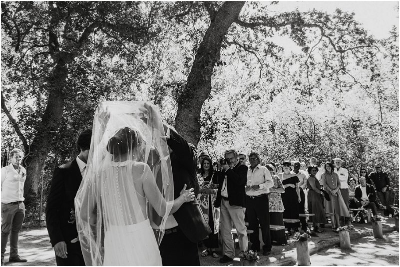 Striped Fox Photography