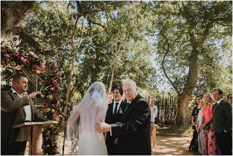 Striped Fox Photography