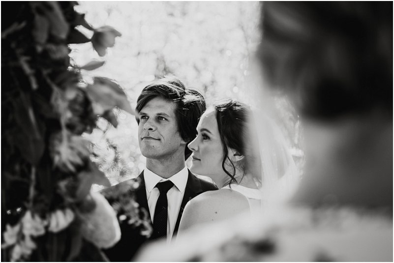 Striped Fox Photography