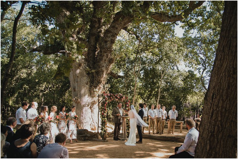 Striped Fox Photography