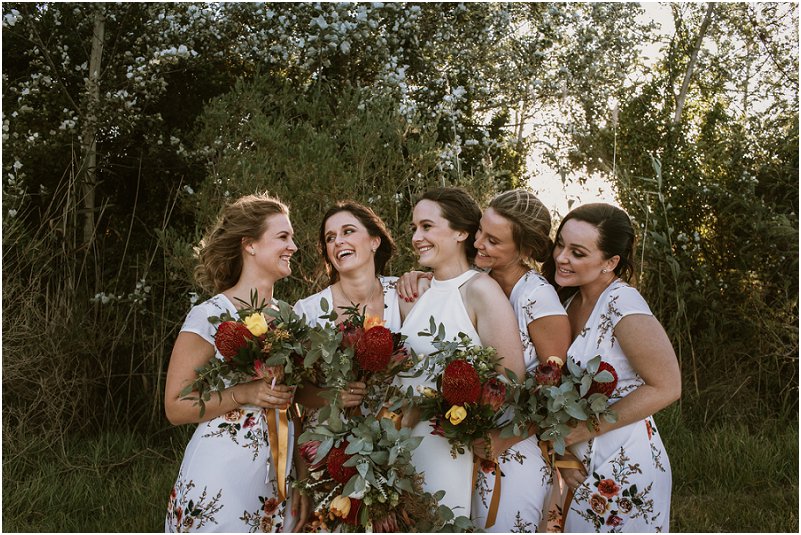 Striped Fox Photography