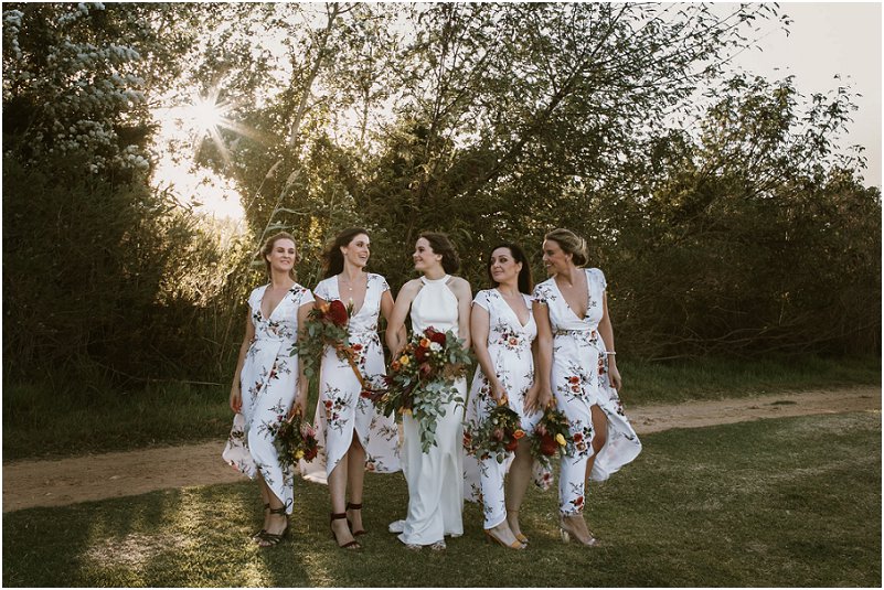 Striped Fox Photography