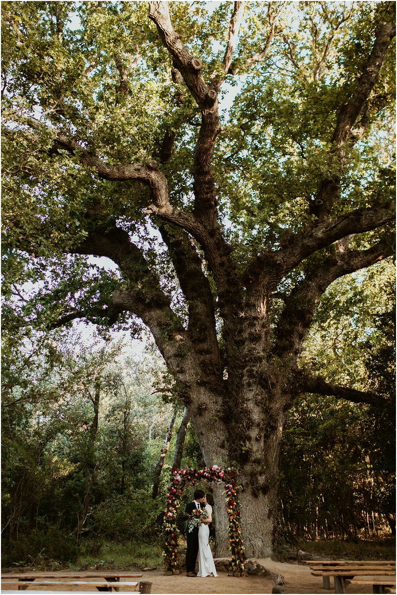 Striped Fox Photography