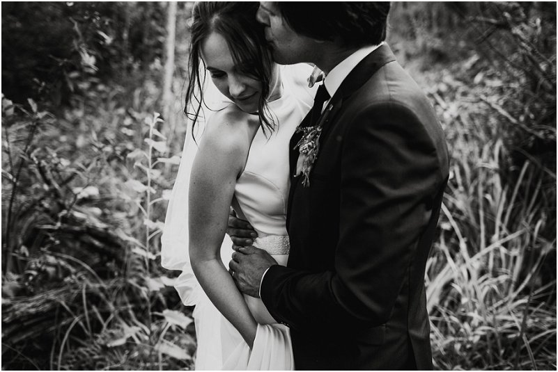 Striped Fox Photography