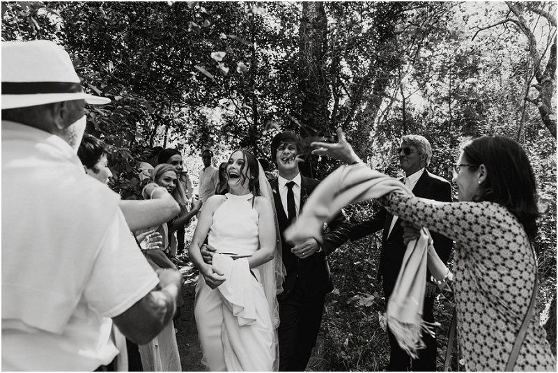 Striped Fox Photography