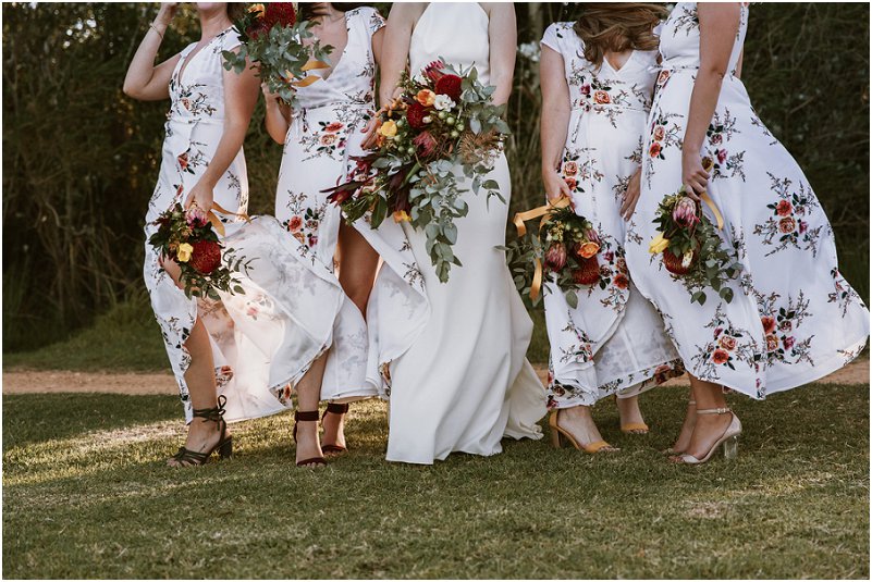 Striped Fox Photography