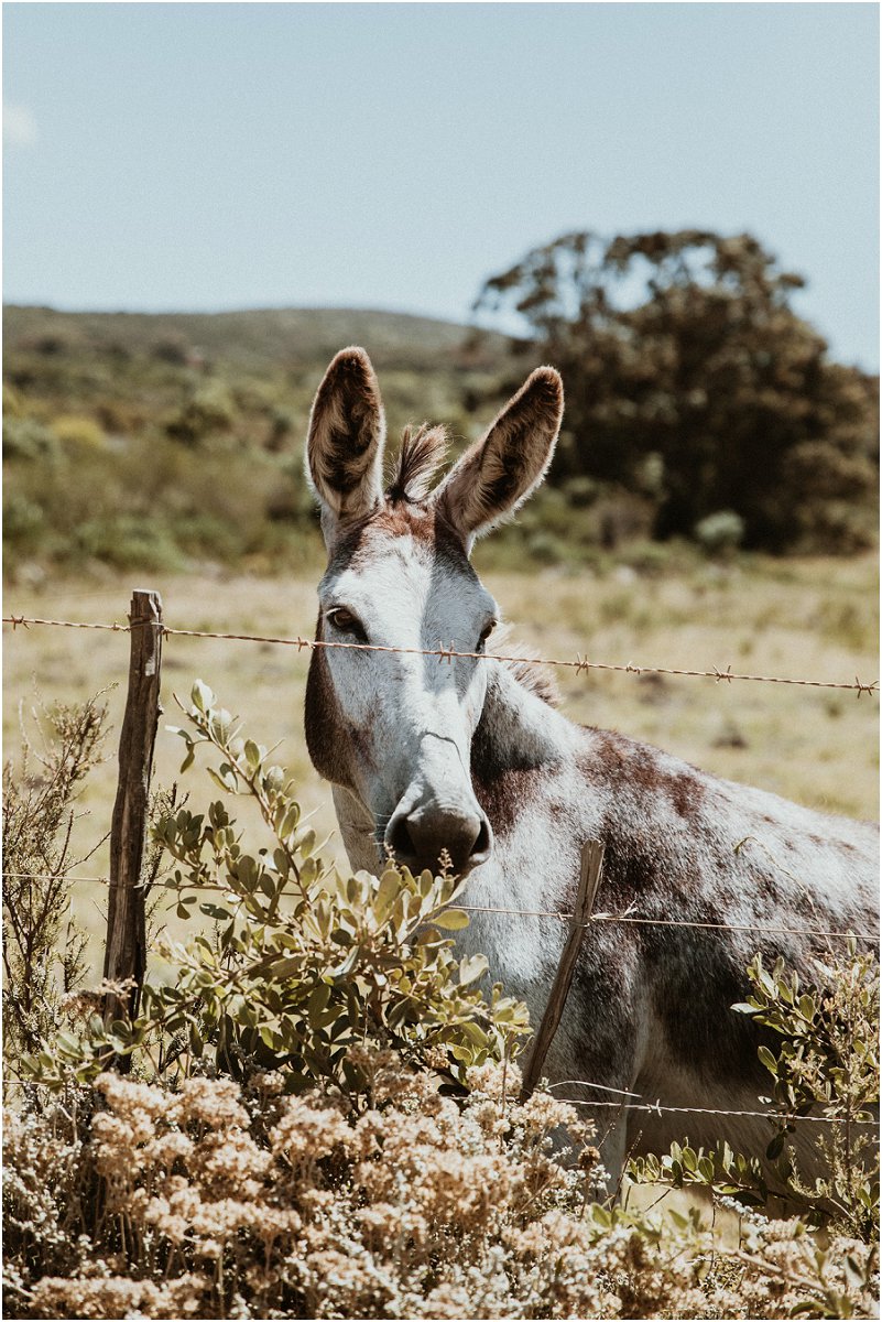 Uiljenes Forest & Barn Venue
