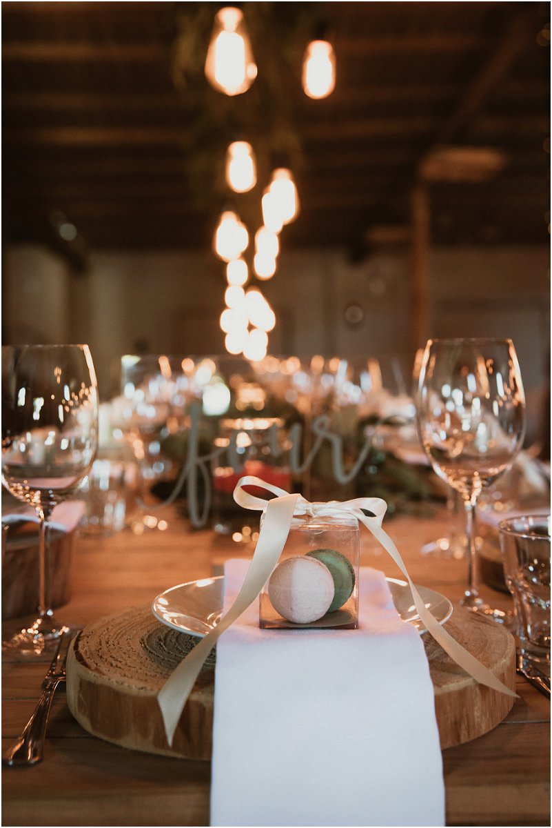 Striped Fox Photography